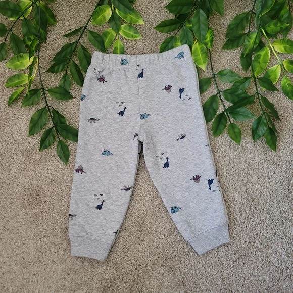 Carter's Baby Boy Dinosaur Sweats (12-18 Months) - Picture 2 of 4